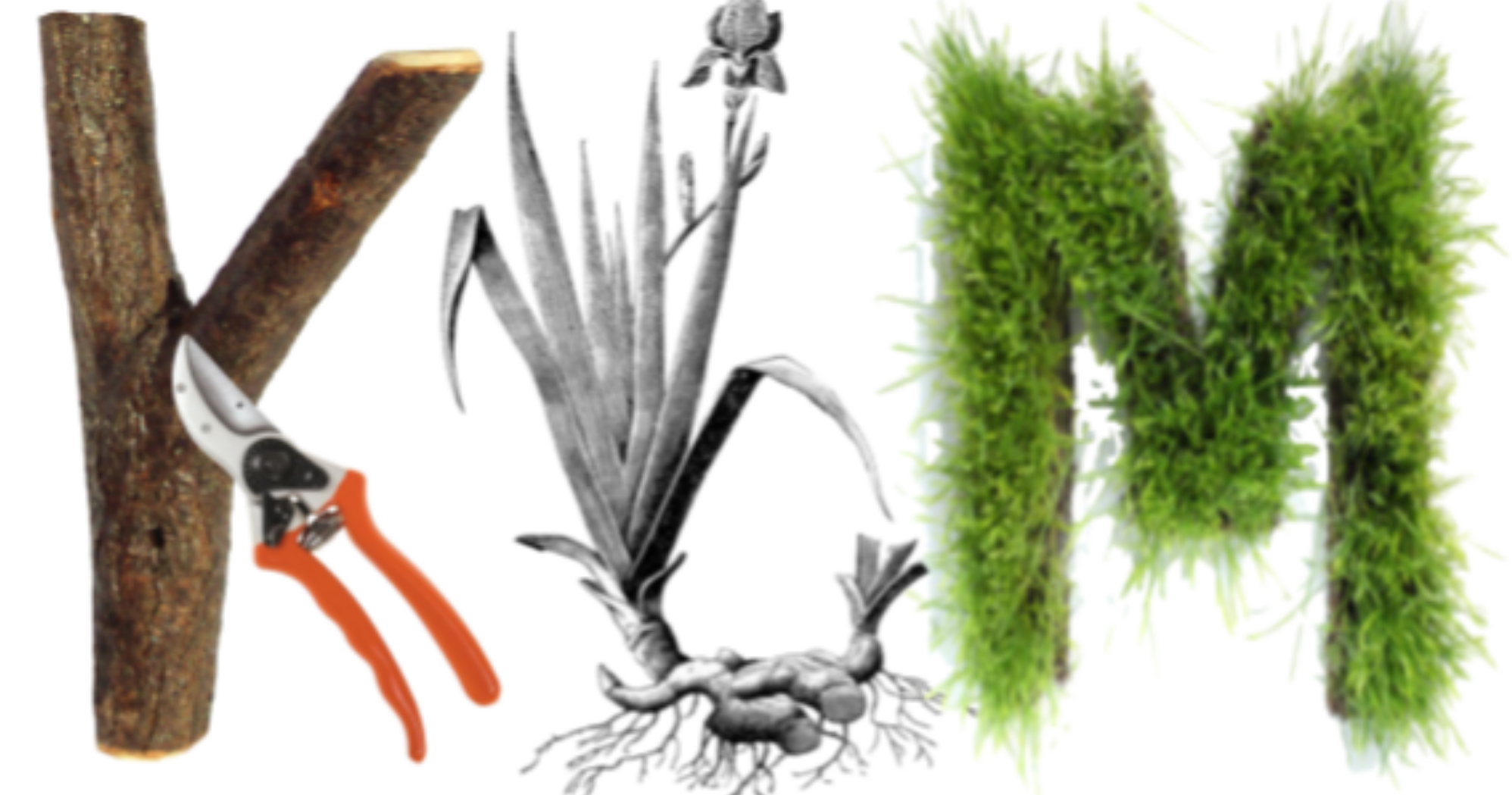 KLM Landscape Horticulture